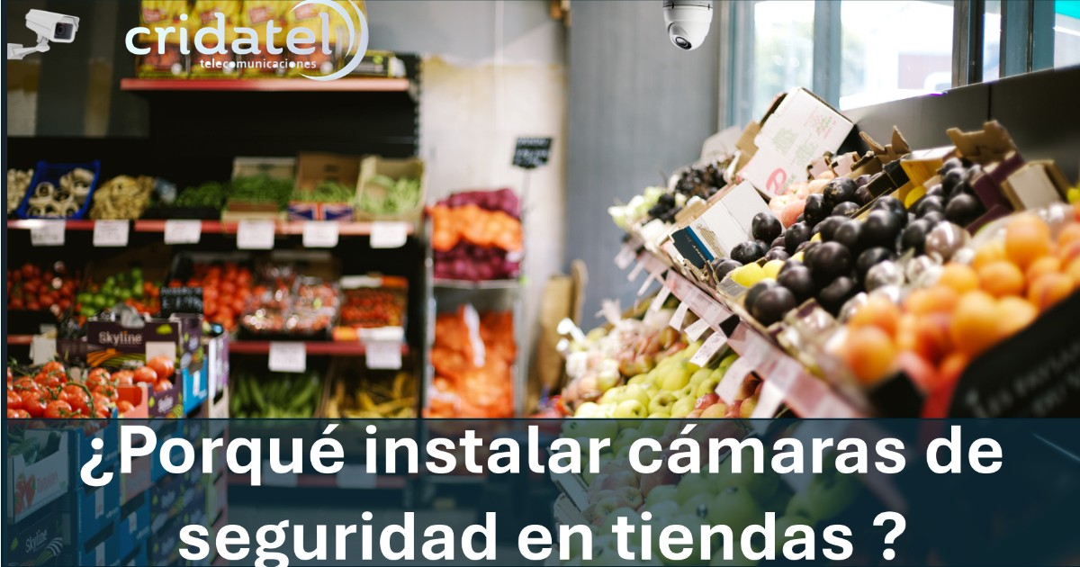 En este momento estás viendo ¿Porqué instalar cámaras de  seguridad en tiendas?