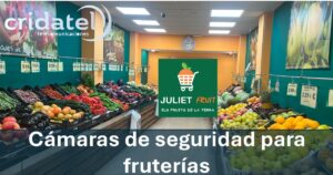 Lee más sobre el artículo Cámaras de seguridad para fruterías